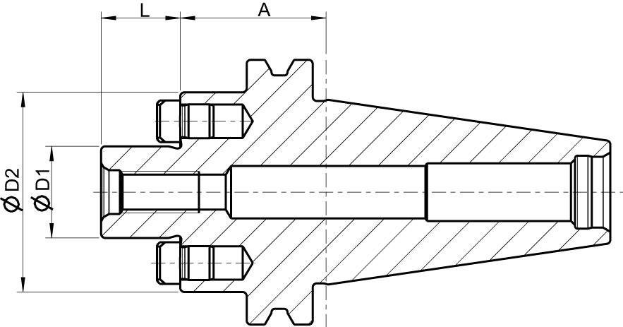 FORMAT GT Aufsteckfräserdorn DIN69871 AD SK50-32