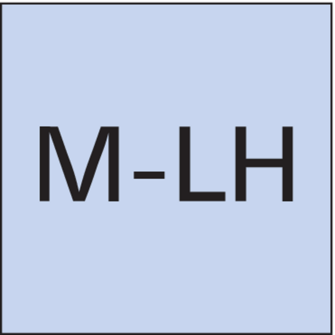 FORMAT Handgewindebohrer DIN352 HSS Links M 12,0 Satz